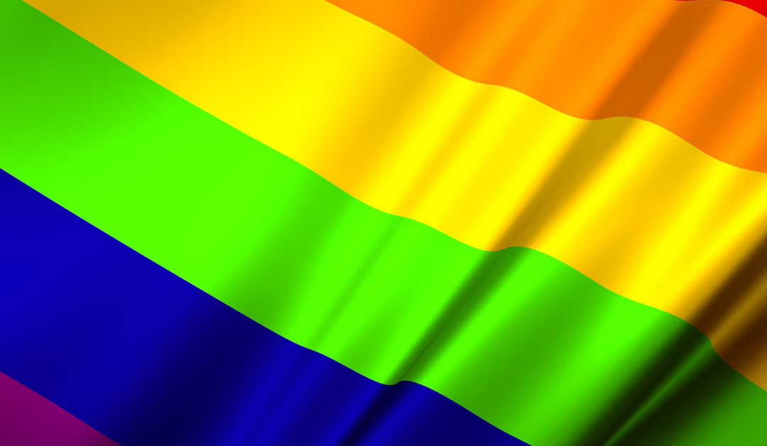 Tutela e falsi miti: la realtà dei diritti della persona LGBTI
